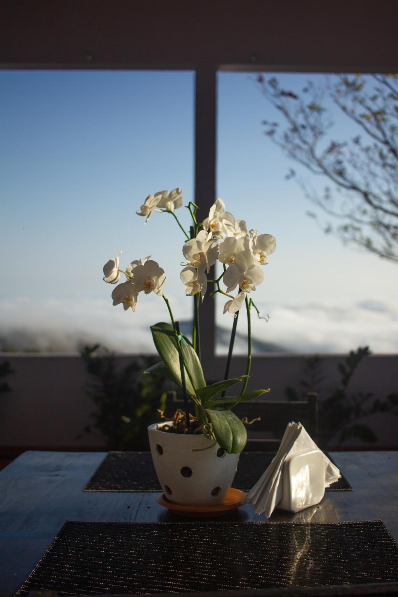 Nosara Hideaway 2 - Breakfast Included & Mountain View Cabins Nicoya Eksteriør bilde