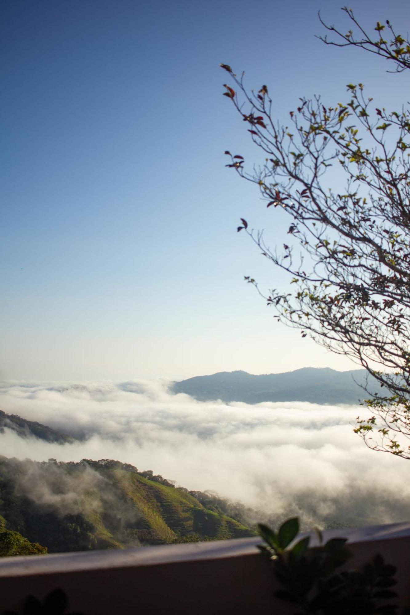 Nosara Hideaway 2 - Breakfast Included & Mountain View Cabins Nicoya Eksteriør bilde